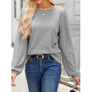 Women's Long Sleeve Blouse Spring/Fall Plain Crew Neck Balloon Sleeve Daily Going Out Casual Top