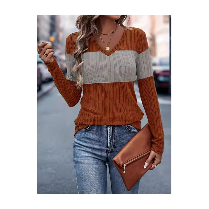 Women's Long Sleeve Blouse Spring/Fall Color Block V Neck Daily Going Out Casual Top