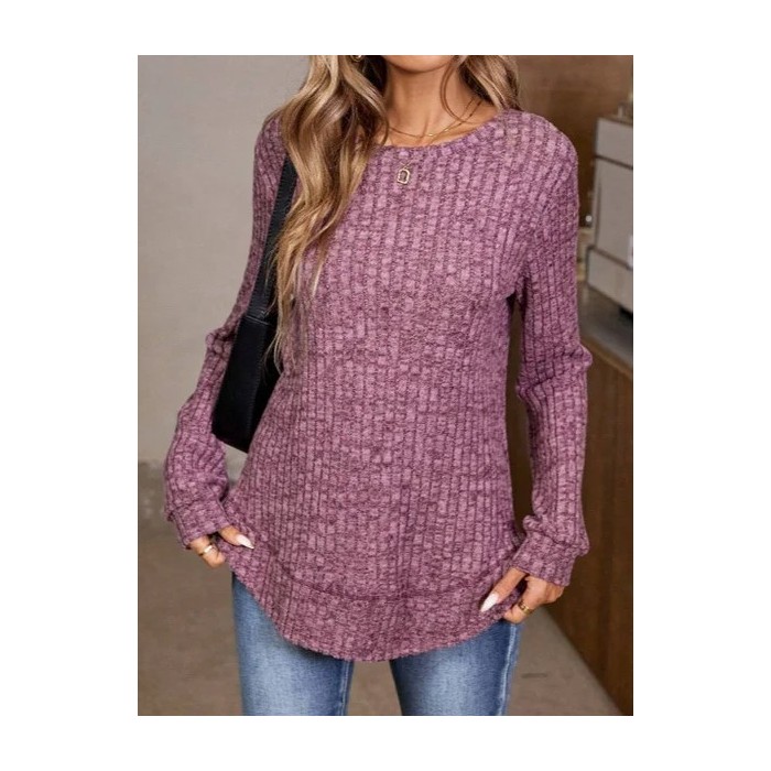 Plain Crew Neck Jersey Casual Knit Top