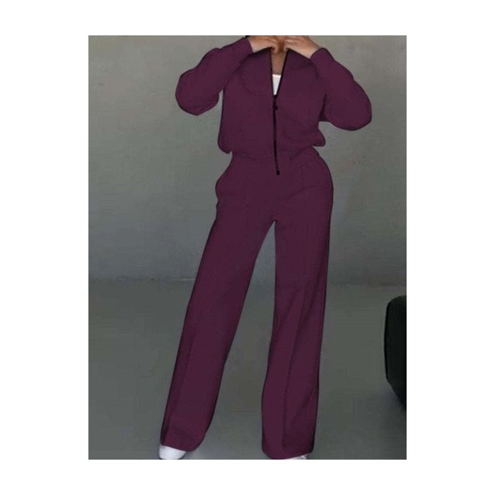 Women Plain Split Joint Two-Piece Set Daily Long Sleeve Casual Spring/Fall Top With Pants Matching Set