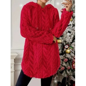 Women Plain Winter Long Sleeve Casual Daily Hoodie