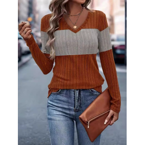 Women's Long Sleeve Blouse Spring/Fall Color Block V Neck Daily Going Out Casual Top