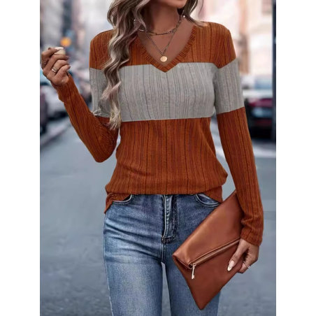 Women's Long Sleeve Blouse Spring/Fall Color Block V Neck Daily Going Out Casual Top