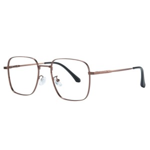 100316 Square Spring Hinge Eyeglasses