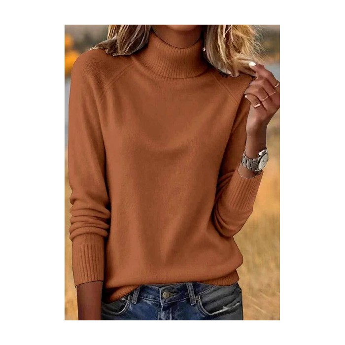 Women Plain Spring/Fall Casual Long Sleeve Turtleneck Cotton Sweater