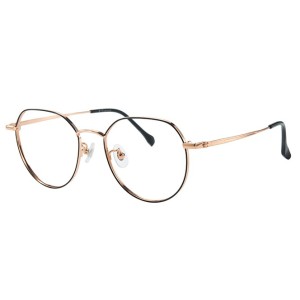 100371 Geometric Titanium Eyeglasses
