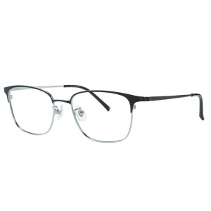 100381 Browline Titanium Eyeglasses