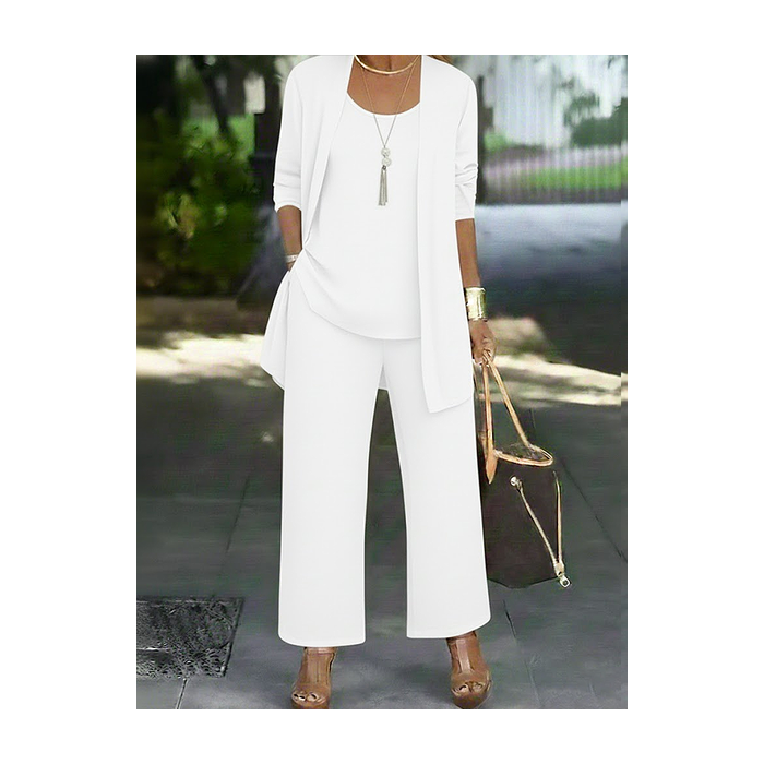 Women Plain Two-Piece Set Daily Long Sleeve Casual Spring/Fall Multi-Piece Set Matching Set