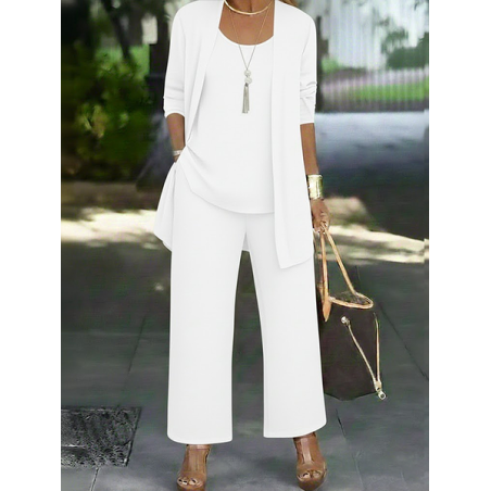 Women Plain Two-Piece Set Daily Long Sleeve Casual Spring/Fall Multi-Piece Set Matching Set