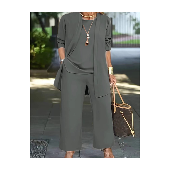 Women Plain Split Joint Matching Outfit Commuting Long Sleeve Casual Spring/Fall Multi-Piece Set Matching Set
