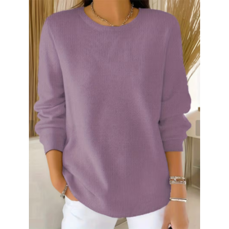 Women Plain Printing Spring/Fall Casual Long Sleeve Crew Neck Sweater