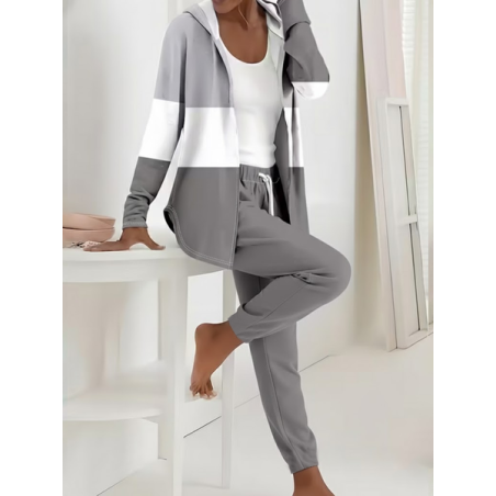 Women Multicolor Block Printing Two-Piece Set Daily Long Sleeve Casual Spring/Fall Coat With Pants Matching Set