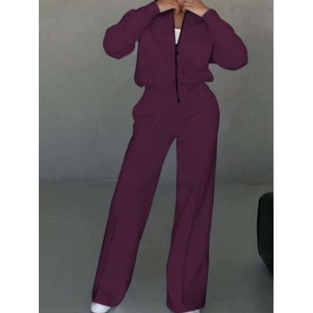 Women Plain Split Joint Two-Piece Set Daily Long Sleeve Casual Spring/Fall Top With Pants Matching Set