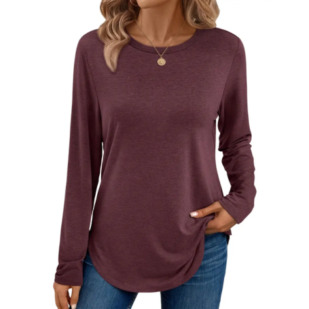 Women Plain Color Long Sleeve Tee T-shirt Crew Neck Printing Casual Spring/Fall Graphic Tee Top