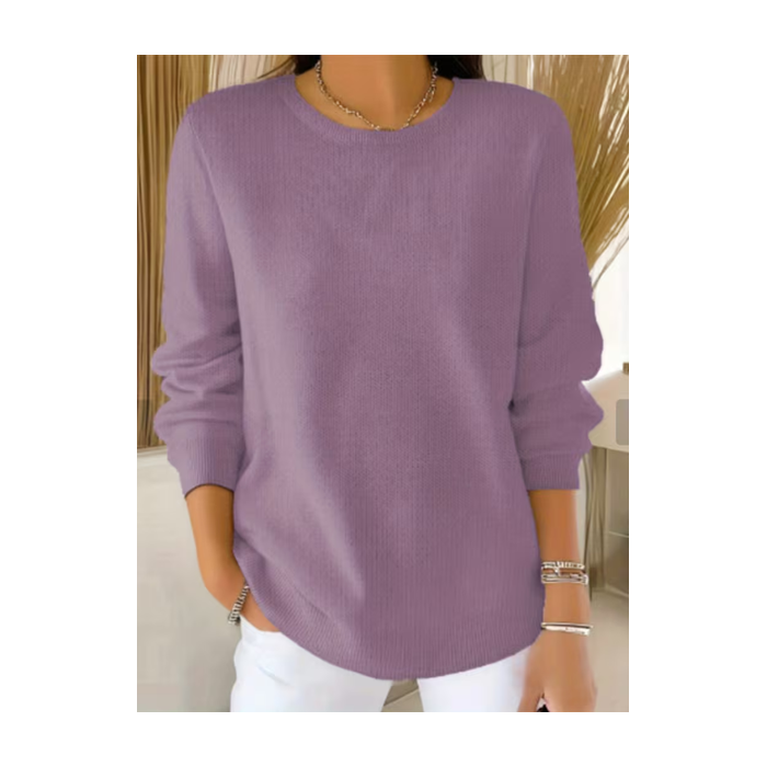 Women Plain Printing Spring/Fall Casual Long Sleeve Crew Neck Sweater
