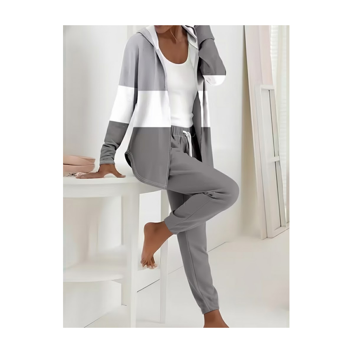 Women Multicolor Block Printing Two-Piece Set Daily Long Sleeve Casual Spring/Fall Coat With Pants Matching Set